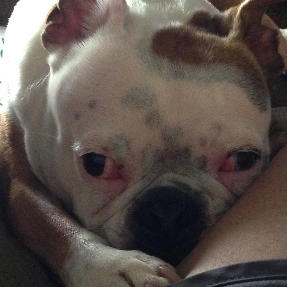 Meet your Posher, Tamra